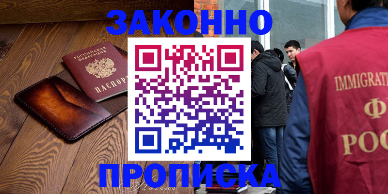 прописка 2025 в Кингисеппе